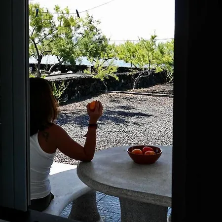 Ferienhaus Casa Caminho Da Barca Madalena (Azores)